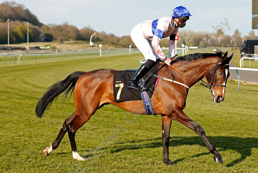 Bucephalus-0001 
 BUCEPHALUS (James Doyle)
Nottingham 17 Apr 2021 - Pic Steven Cargill / Racingfotos.com