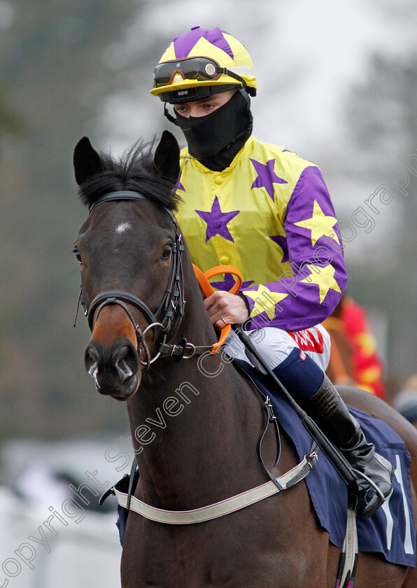 Soi-Dao 
 SOI DAO (Tyler Heard)
Lingfield 25 Jan 2022 - Pic Steven Cargill / Racingfotos.com