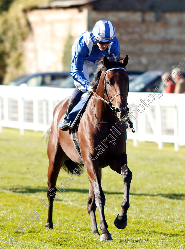 Jahbath-0002 
 JAHBATH (Jim Crowley)
Salisbury 3 Oct 2018 - Pic Steven Cargill / Racingfotos.com