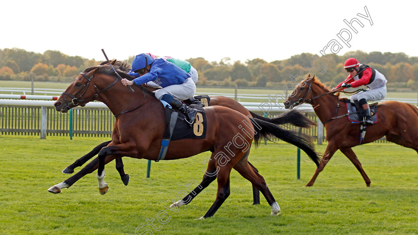 Regal-Honour-0003 
 REGAL HONOUR (William Buick) wins The Stephen Rowley Remembered Novice Stakes
Newmarket 19 Oct 2022 - Pic Steven Cargill / Racingfotos.com