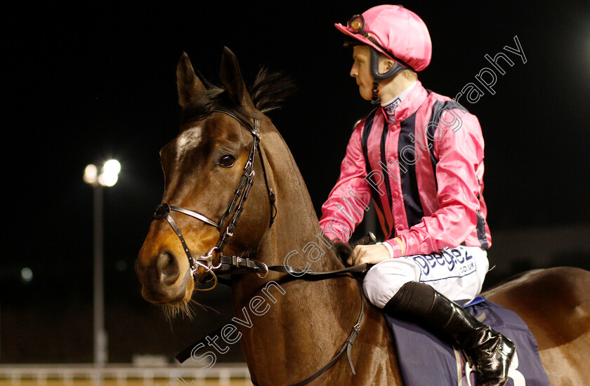 Swiss-Storm-0001 
 SWISS STORM (David Probert) before winning The Betway Handicap
Wolverhampton 26 Feb 2019 - Pic Steven Cargill / Racingfotos.com