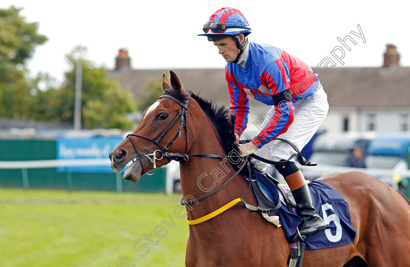 Queen s-Company-0001 
 QUEEN'S COMPANY (Dylan Hogan)
Yarmouth 14 Sep 2022 - Pic Steven Cargill / Racingfotos.com