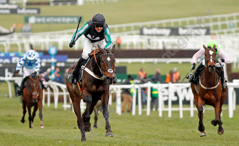 Altior-0002 
 ALTIOR (Nico de Boinville) wins The Betway Queen Mother Champion Chase Cheltenham 14 Mar 2018 - Pic Steven Cargill / Racingfotos.com