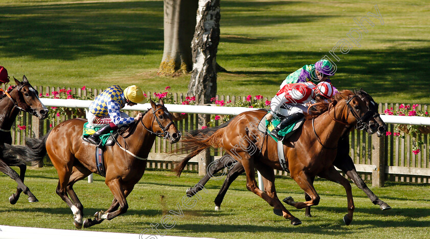 Jack-The-Truth-0002 
 JACK THE TRUTH (Harry Bentley) beats NIBRAS AGAIN (left) in The Trm Speedxcell Handicap
Newmarket 27 Jun 2019 - Pic Steven Cargill / Racingfotos.com