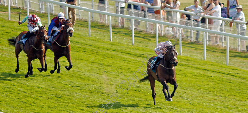 Another-Investment-0005 
 ANOTHER INVESTMENT (Jack Mitchell) wins The Irish Thoroughbred Marketing Handicap
York 16 Jun 2023 - Pic Steven Cargill / Racingfotos.com