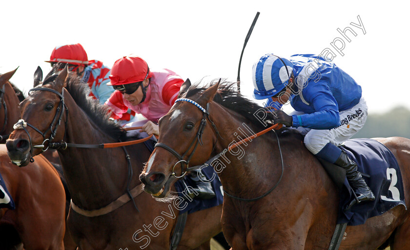 Shabeeb-0005 
 SHABEEB (right, Jim Crowley) beats SHRAAOH (left) in The Edmondson Hall Solicitors & Sports Lawyers Handicap Newmarket 18 May 2018 - Pic Steven Cargill / Racingfotos.com