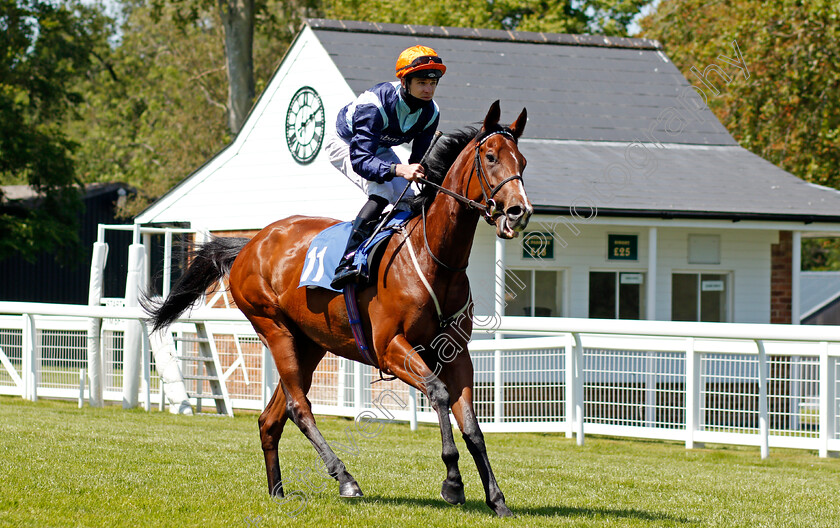 Rooful-0001 
 ROOFUL (Charles Bishop)
Salisbury 8 Jun 2021 - Pic Steven Cargill / Racingfotos.com