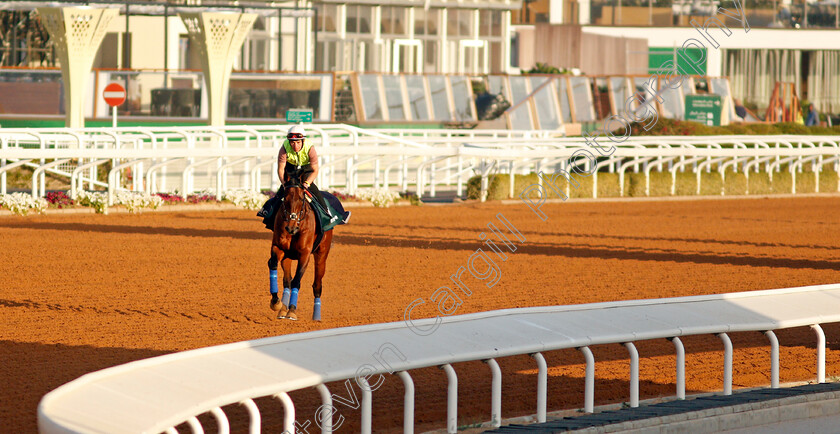 Mishriff-0005 
 MISHRIFF training for The Saudi Cup
King Abdulaziz Racetrack, Riyadh, Saudi Arabia 23 Feb 2022 - Pic Steven Cargill / Racingfotos.com