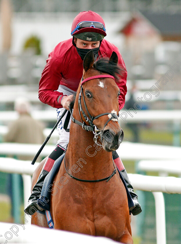 Guru-0001 
 GURU (Adam Kirby)
Doncaster 28 Mar 2021 - Pic Steven Cargill / Racingfotos.com