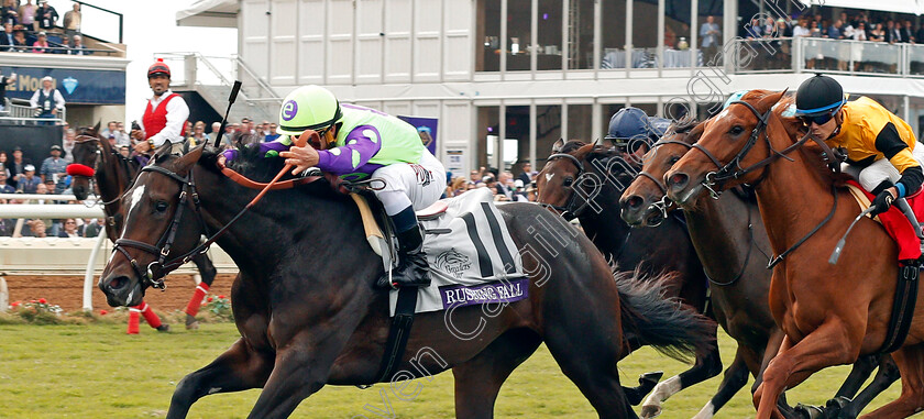 Rushing-Fall-0004 
 RUSHING FALL (Javier Castellano) wins The Breeders' Cup Juvenile Fillies Turf, Del Mar USA 3 Nov 2017 - Pic Steven Cargill / Racingfotos.com