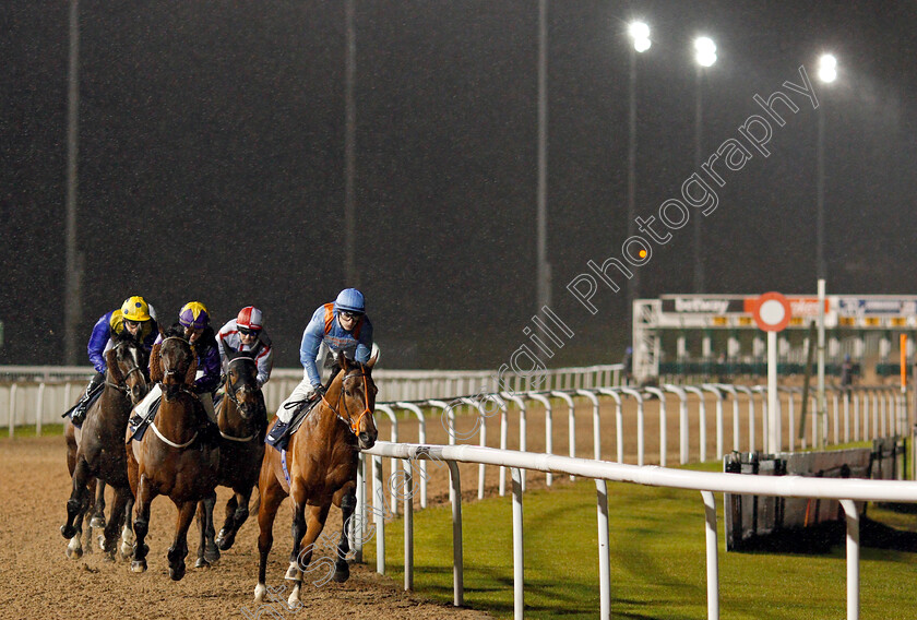 Rainbow-Dreamer-0003 
 winner RAINBOW DREAMER (2nd left, Hollie Doyle) tracks leader RAYMOND TUSK (right) in his way to winning The Betway Conditions Stakes
Wolverhampton 13 Jan 2020 - Pic Steven Cargill / Racingfotos.com