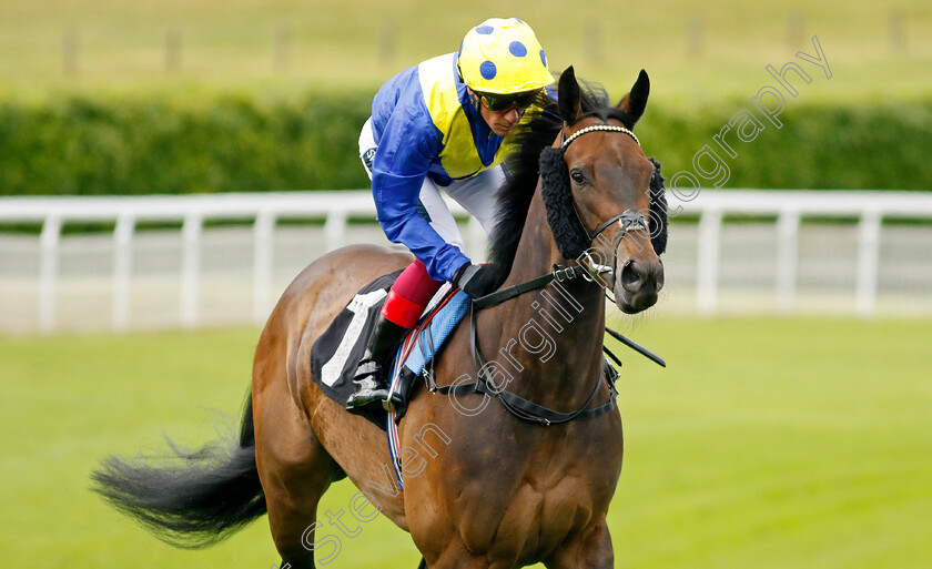 Spinaround-0001 
 SPINAROUND (Frankie Dettori)
Goodwood 20 May 2022 - Pic Steven Cargill / Racingfotos.com