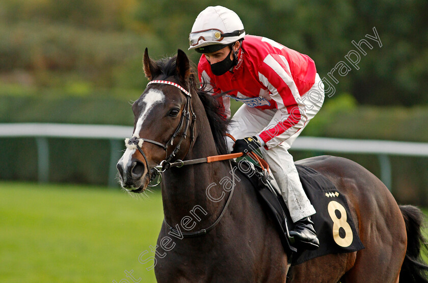 Leo-Minor-0001 
 LEO MINOR (William Buick)
Nottingham 14 Oct 2020 - Pic Steven Cargill / Racingfotos.com