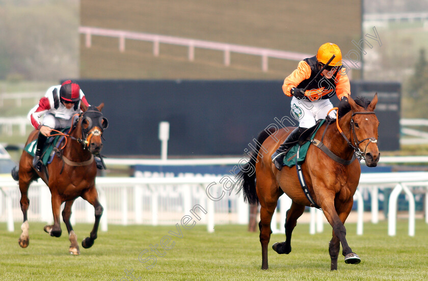 Tobefair-0003 
 TOBEFAIR (Tom Bellamy) wins The Safran Landing Systems Handicap Hurdle
Cheltenham 17 Apr 2019 - Pic Steven Cargill / Racingfotos.com