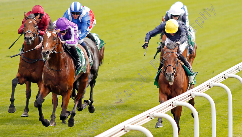 Japan-0006 
 JAPAN (left, Ryan Moore) beats CRYSTAL OCEAN (right) in The Juddmonte International Stakes
York 21 Aug 2019 - Pic Steven Cargill / Racingfotos.com