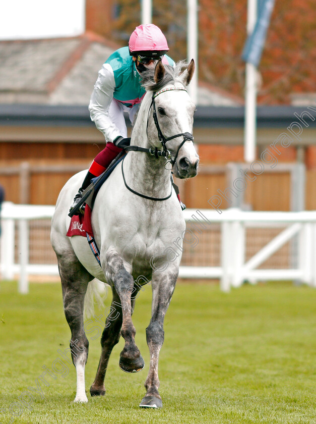 Logician-0001 
 LOGICIAN (Frankie Dettori)
Newbury 15 May 2021 - Pic Steven Cargill / Racingfotos.com