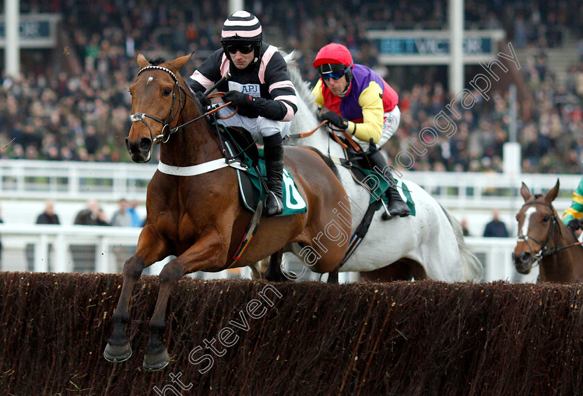 Mr-Whipped-0002 
 MR WHIPPED (Jeremiah McGrath)
Cheltenham 16 Nov 2018 - Pic Steven Cargill / Racingfotos.com