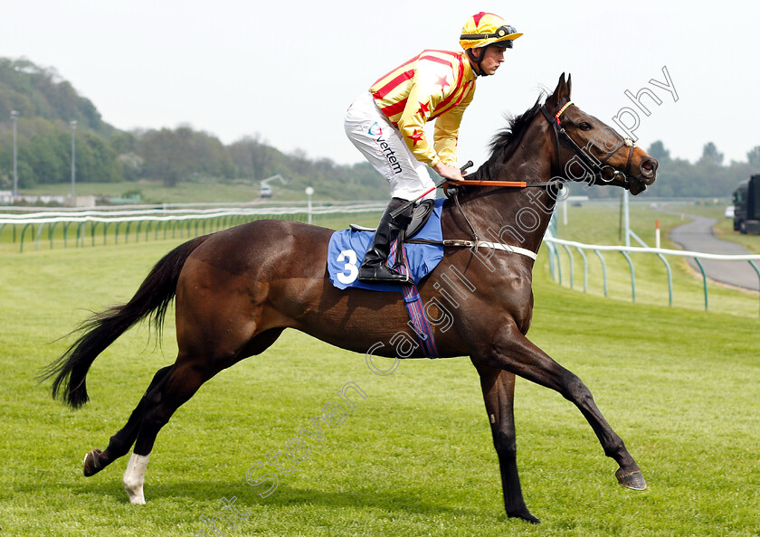 Holy-Hymn-0001 
 HOLY HYMN (Clifford Lee)
Nottingham 30 Apr 2019 - Pic Steven Cargill / Racingfotos.com