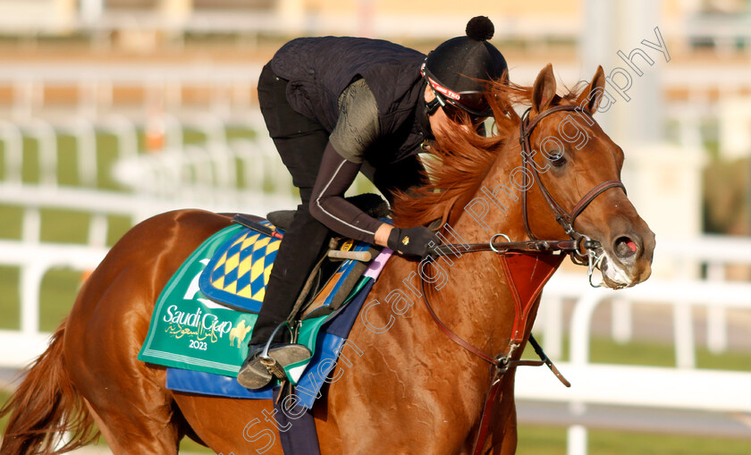 Taiba-0007 
 TAIBA training for the Saudi Cup
King Abdulaziz Racecourse, Kingdom Of Saudi Arabia, 23 Feb 2023 - Pic Steven Cargill / Racingfotos.com