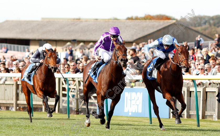 Persian-King-0005 
 PERSIAN KING (right, Pierre-Charles Boudot) beats MAGNA GRECIA (centre) in The Masar Godolphin Autumn Stakes
Newmarket 13 Oct 2018 - Pic Steven Cargill / Racingfotos.com