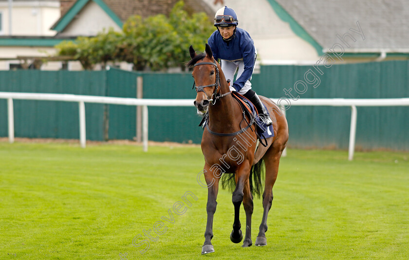 Elusive-Angel-0002 
 ELUSIVE ANGEL (Hayley Turner)
Yarmouth 20 Sep 2023 - Pic Steven Cargill / Racingfotos.com