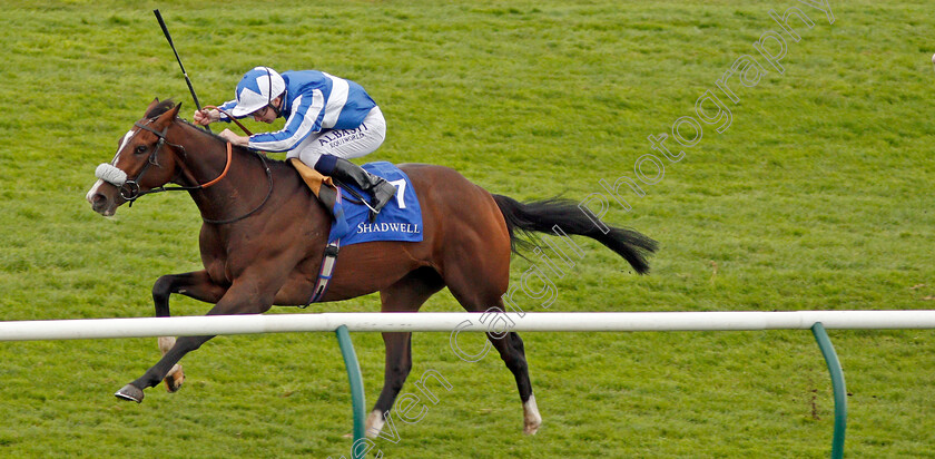 Beat-The-Bank-0004 
 BEAT THE BANK (Oisin Murphy) wins The Shadwell Joel Stakes Newmarket 29 Sep 2017 - Pic Steven Cargill / Racingfotos.com