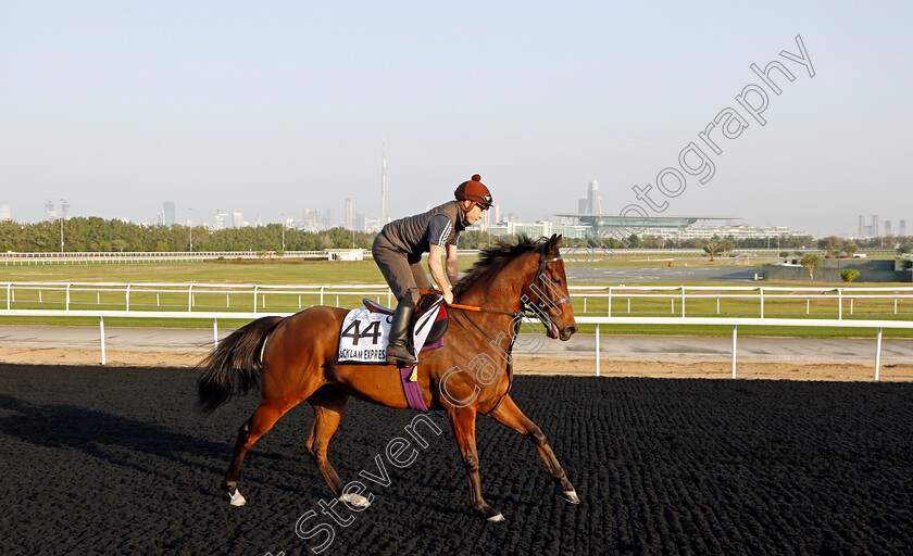 Acklam-Express-0001 
 ACKLAM EXPRESS training at Meydan, Dubai
2 Feb 2023 - Pic Steven Cargill / Racingfotos.com