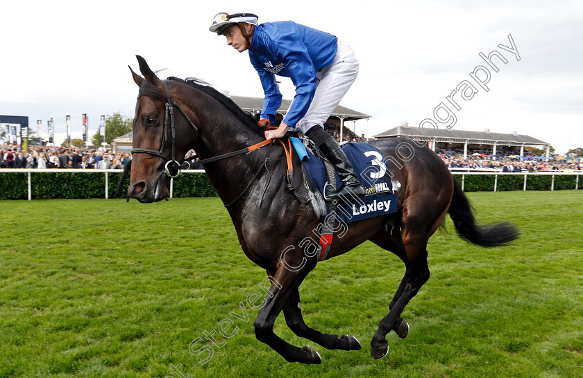 Loxley-0002 
 LOXLEY (James Doyle)
Doncaster 15 Sep 2018 - Pic Steven Cargill / Racingfotos.com