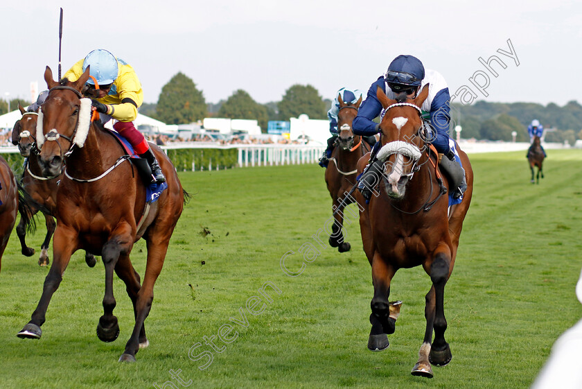 Coltrane-0001 
 COLTRANE (right, David Probert) beats LISMORE (left) in The Coral Doncaster Cup
Doncaster 11 Sep 2022 - Pic Steven Cargill / Racingfotos.com