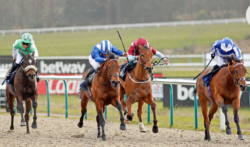 Badri-0001 
 BADRI (2nd left, Kieran Shoemark) beats PHUKET POWER (right) and ZIM BABY (left) in The Ladbrokes Handicap
Lingfield 14 Feb 2020 - Pic Steven Cargill / Racingfotos.com