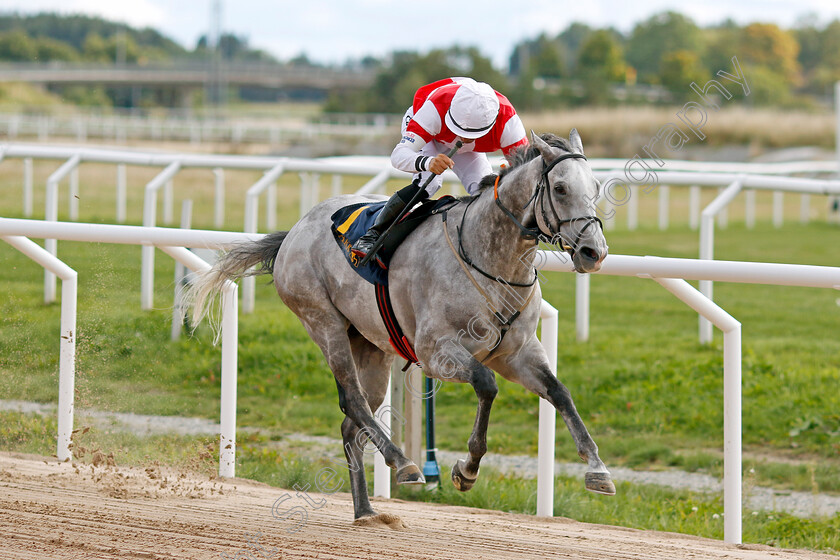 Duca-Di-Como-0002 
 DUCA DI COMO (Elione Chaves) wins The Tattersalls Nickes Minneslopning
Bro Park, Sweden 18 Sep 2022 - Pic Steven Cargill / Racingfotos.com