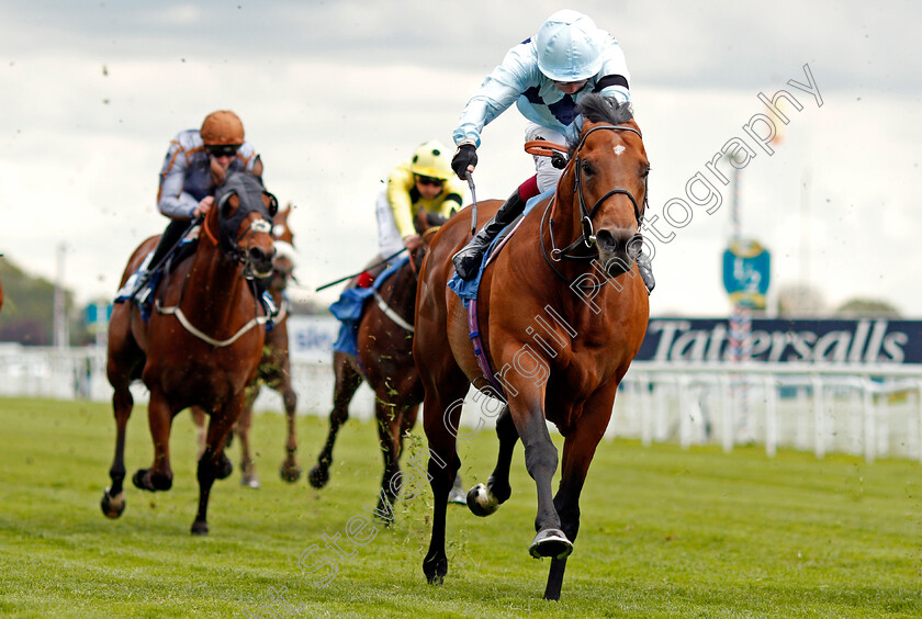 Starman-0007 
 STARMAN (Oisin Murphy) wins The Duke Of York Clipper Logistics Stakes
York 12 May 2021 - Pic Steven Cargill / Racingfotos.com