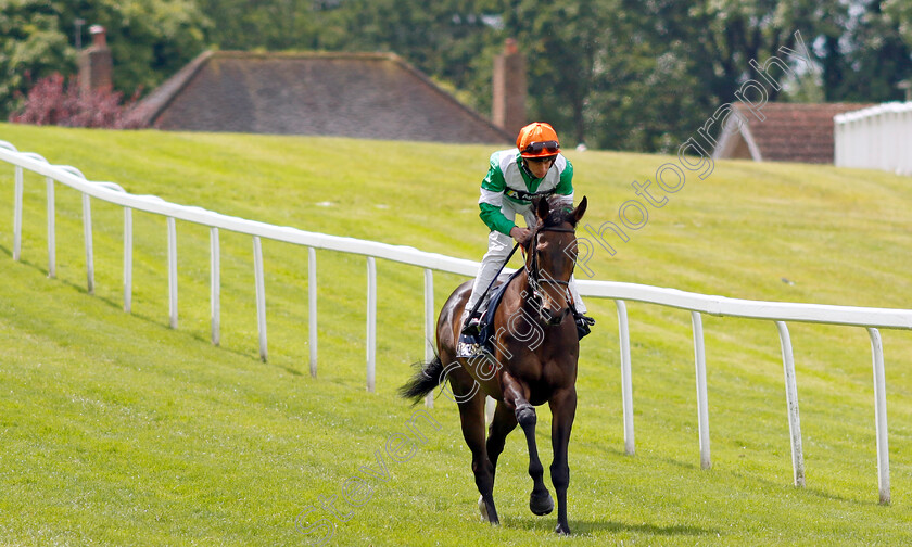 No-Half-Measures-0002 
 NO HALF MEASURES (George Rooke)
Sandown 15 Jun 2024 - Pic Steven Cargill / Racingfotos.com