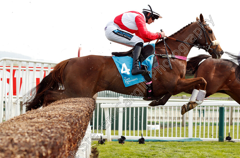 Tree-Of-Liberty-0001 
 TREE OF LIBERTY (Richard Patrick)
Cheltenham 17 Apr 2019 - Pic Steven Cargill / Racingfotos.com