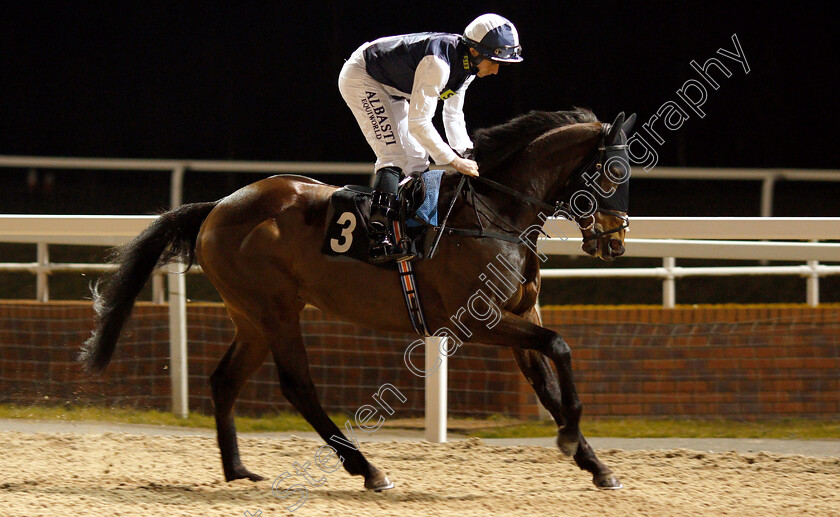 Albert-Finney-0002 
 ALBERT FINNEY (Ryan Moore)
Chelmsford 21 Feb 2019 - Pic Steven Cargill / Racingfotos.com