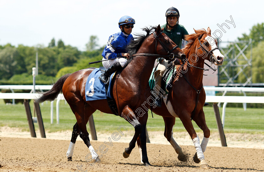 Final-Frontier-0001 
 FINAL FRONTIER (Jose Lezcano)
Belmont Park 7 Jun 2018 - Pic Steven Cargill / Racingfotos.com