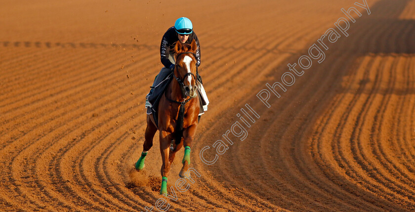 Derma-Sotogake-0002 
 DERMA SOTOGAKE training for The Saudi Cup
King Abdulaziz Racecourse, Saudi Arabia 21 Feb 2024 - Pic Steven Cargill / Racingfotos.com