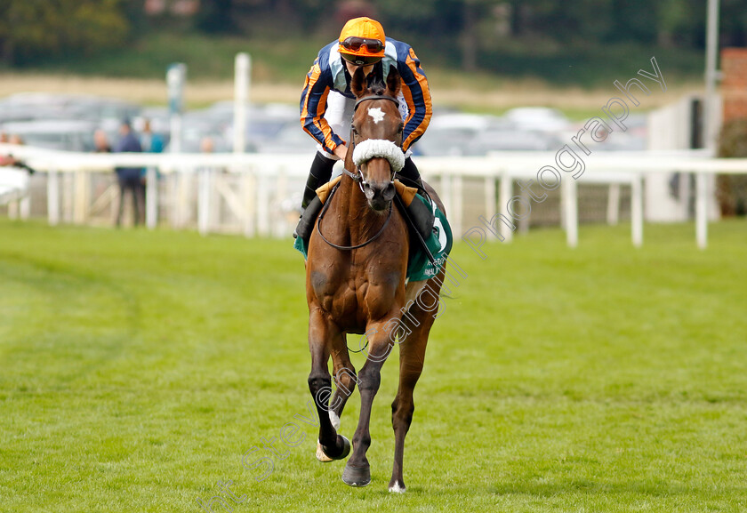 Nate-The-Great-0001 
 NATE THE GREAT (Harry Davies)
York 25 Aug 2023 - Pic Steven Cargill / Racingfotos.com