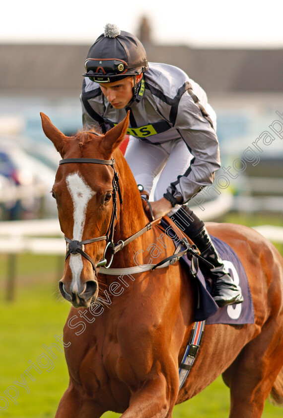 Wingingit-0002 
 WINGINGIT (William Buick) Yarmouth 16 Oct 2017 - Pic Steven Cargill / Racingfotos.com