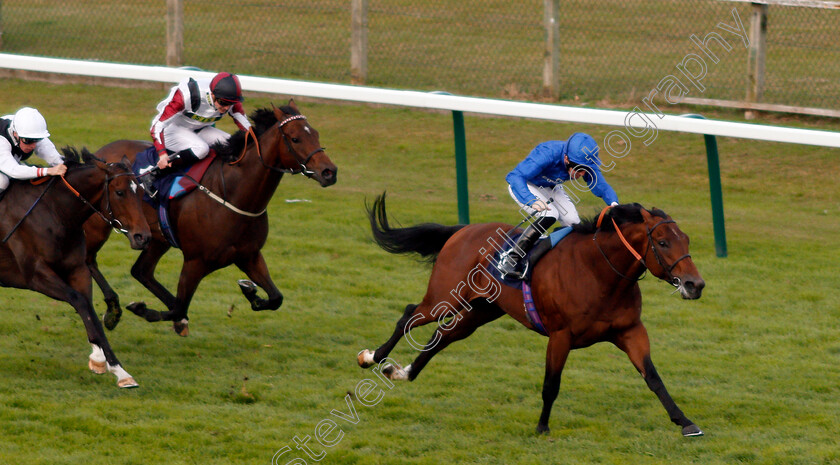 Big-Tour-0001 
 BIG TOUR (Pat Cosgrave) wins The Bombadier Beer Handicap Yarmouth 21 Sep 2017 - Pic Steven Cargill / Racingfotos.com