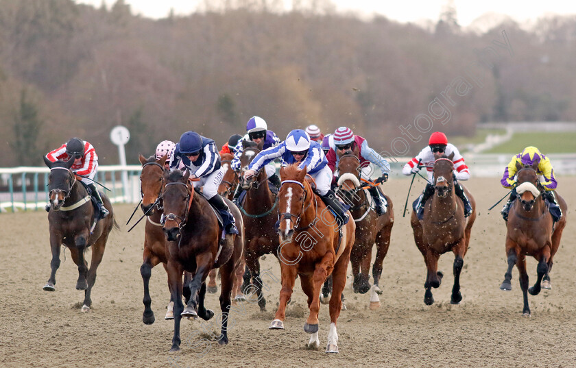 Fantastic-Fox-0006 
 FANTASTIC FOX (Aidan Keeley) beats TALIS EVOLVERE (left) in The Bet £10 Get £40 At Betmgm Handicap
Lingfield 20 Jan 2024 - Pic Steven Cargill / Racingfotos.com