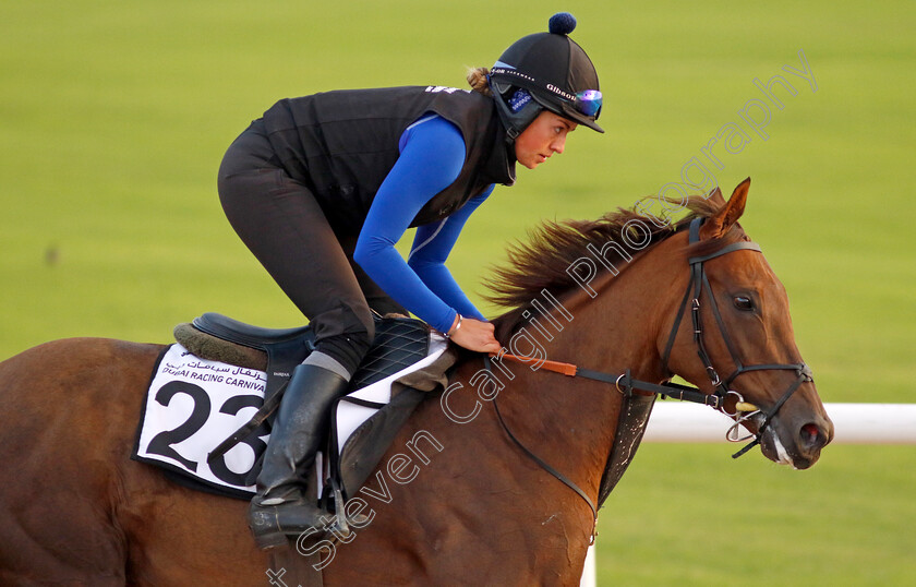 Geologist-0003 
 GEOLOGIST training at the Dubai Racing Carnival
Meydan 1 Mar 2024 - Pic Steven Cargill / Racingfotos.com