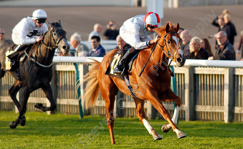 Lawful-Command-0002 
 LAWFUL COMMAND (Louis Steward) wins The Jean Bucknell A Lifetime In Racing Nursery
Newmarket 20 Oct 2021 - Pic Steven Cargill / Racingfotos.com