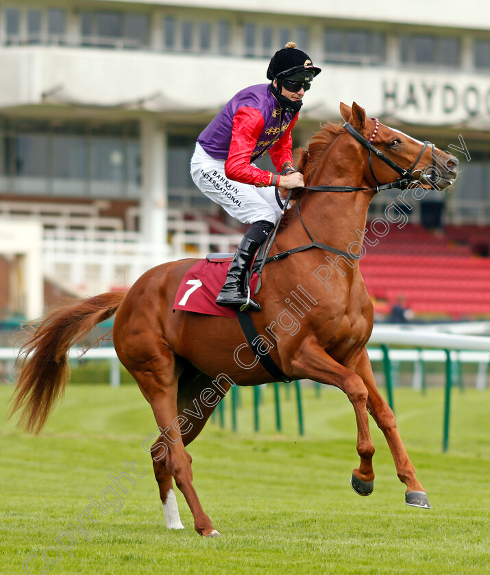 Pied-Piper-0001 
 PIED PIPER (Robert Havlin)
Haydock 3 Sep 2020 - Pic Steven Cargill / Racingfotos.com