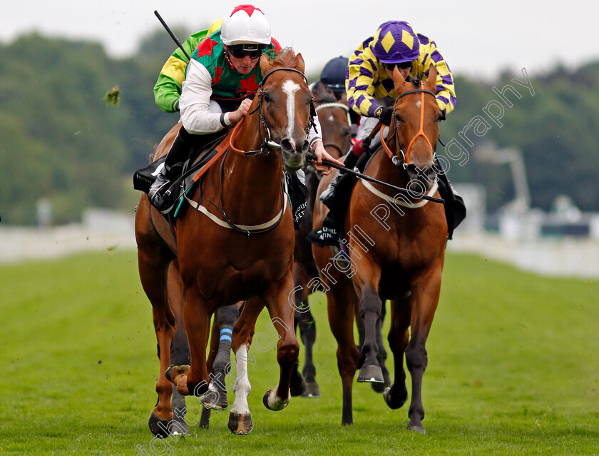 Tweet-Tweet-0003 
 TWEET TWEET (Harrison Shaw) wins The IRE Incentive It Pays To Buy Irish Handicap
York 18 Aug 2021 - Pic Steven Cargill / Racingfotos.com