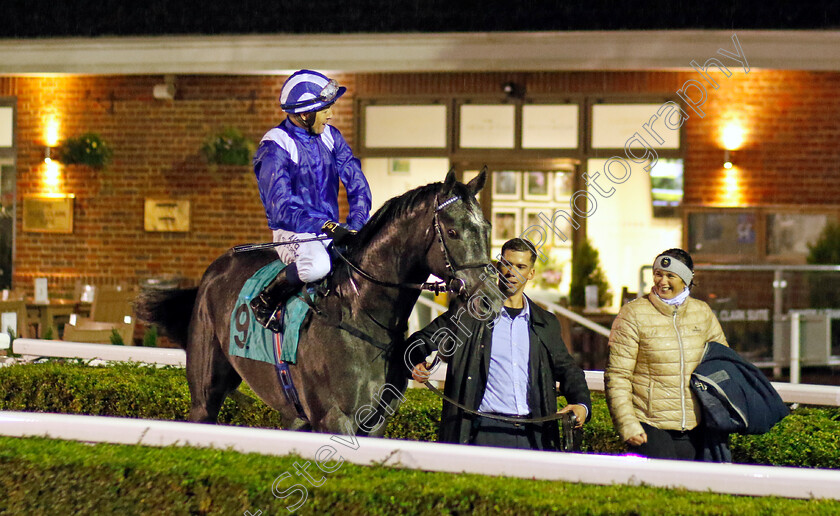 Mostabshir-0005 
 MOSTABSHIR (Jim Crowley) winner of The Unibet British Stallion Studs EBF Novice Stakes Div2
Kempton 16 Nov 2022 - Pic Steven Cargill / Racingfotos.com