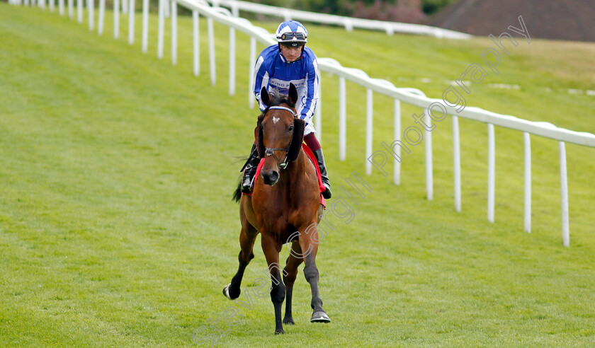 Fox-Vardy-0002 
 FOX VARDY (Rob Hornby)
Sandown 1 Jul 2022 - Pic Steven Cargill / Racingfotos.com