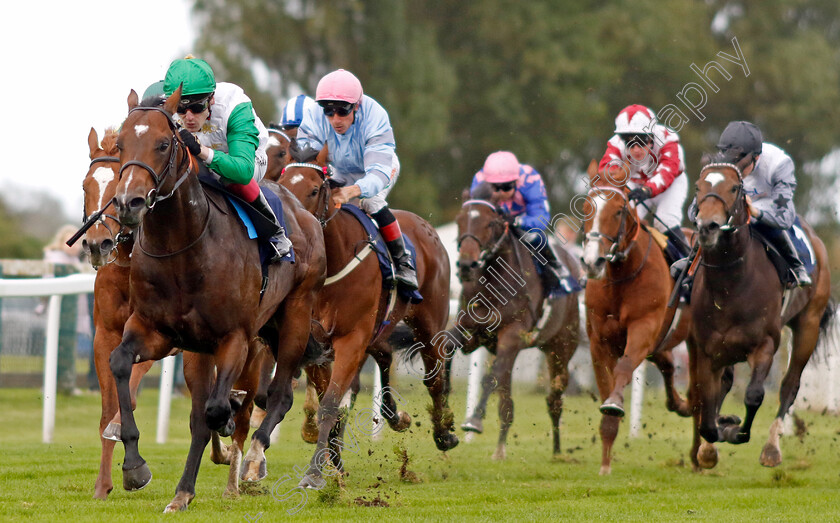 Moswaat-0002 
 MOSWAAT (Cameron Noble) wins The British EBF Novice Stakes
Yarmouth 16 Oct 2023 - Pic Steven Cargill / Racingfotos.com