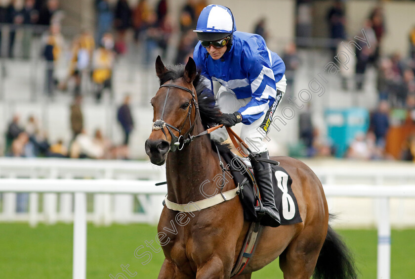 Officer-Of-State-0001 
 OFFICER OF STATE (Tom Cannon)
Ascot 17 Feb 2024 - Pic Steven Cargill / Racingfotos.com