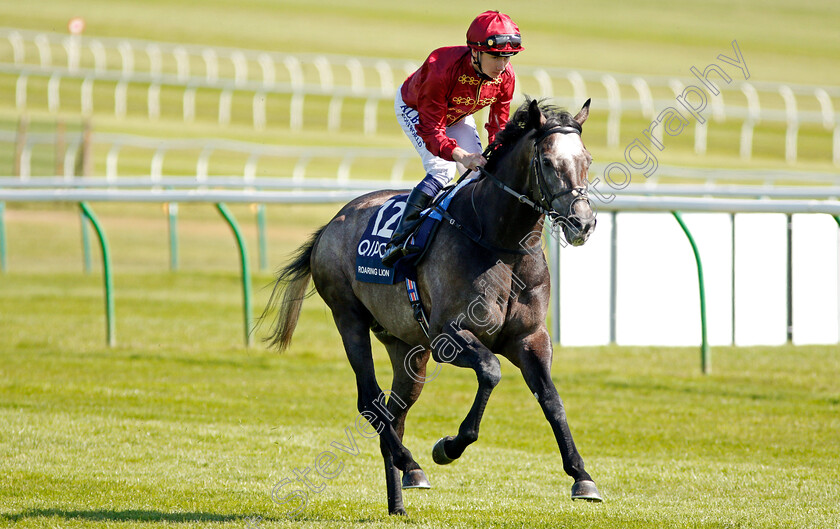 Roaring-Lion-0002 
 ROARING LION (Oisin Murphy) Newmarket 5 May 2018 - Pic Steven Cargill / Racingfotos.com